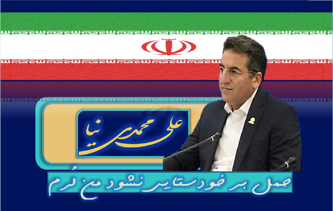 علی محمدی نیا